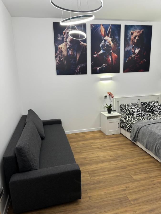 Chicago Apartment كاتوفيتسه المظهر الخارجي الصورة