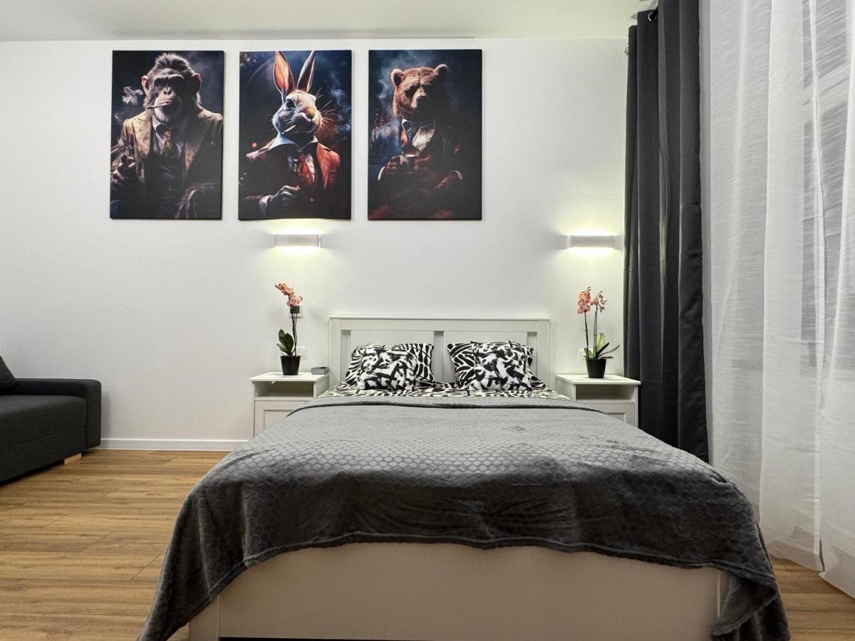 Chicago Apartment كاتوفيتسه المظهر الخارجي الصورة